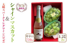 ＜25年発送先行予約＞大峰スパークリングワイン（中辛口）とシャインマスカット2房（約1.2kg）セット★ 016-005