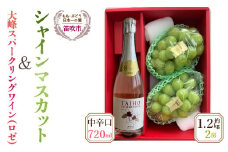 ＜25年発送＞大峰スパークリングワイン（中辛口）とシャインマスカット2房（約1.2kg）セット★ 016-005