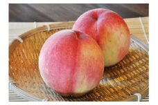 ＜25年発送＞斉藤園の桃 2.3kg 080-011