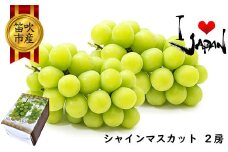 ＜25年発送先行予約＞厳選高級シャインマスカット1kg以上（2房） 082-011
