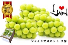 ＜25年発送先行予約＞厳選高級シャインマスカット1.5kg（3房） 082-012