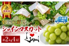＜25年発送先行予約＞厳選高級シャインマスカット2kg（4房） 082-013