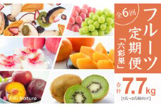 フルーツ定期便≪六彩果≫全6回【1名～2名様向け】おすすめ 贈答 2025 アミナチュール 山梨 山梨県笛吹市 定期便  065-006_v2