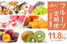 フルーツ定期便≪甲州六豊果≫全6回【3名～4名様向け】おすすめ 贈答 2025 アミナチュール 山梨 山梨県笛吹市 定期便  065-007_v2