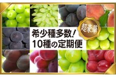 ＜25年発送先行予約＞山梨県笛吹市産日本一のフルーツの里から定期便コース（全10種） シャインマスカット ブラックシャイン など希少品種含む  097-010 | シャインマスカット ブラックシャイン 雄宝 ピオーネ 富士の輝 レディースフィンガー 発送 笛吹市 山梨 山梨県 フルーツ 果物 ぶどう 桃 期間限定 笛吹 葡萄 国産 ぶどう 人気 新鮮 種なし 高級 くだもの 完熟 |

