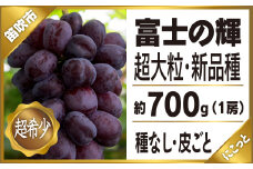 ＜25年発送先行予約＞富士の輝1房約700g　 097-009 ｜ぶどう 葡萄 笛吹市 ブラック ブラックシャインマスカット 希少 希少品種 富士の輝 700g にこっと 新鮮 こだわり 皮ごと 種なし 種無し 高級 大粒 大粒品種 ジューシー シャイン マスカット 産地 発送 期間限定 国産 山梨県産 山梨県笛吹市 1房 富士 輝 高糖度 ｜
