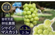 ≪数量限定≫ 御坂農園 シャインマスカット 1.3㎏ 005-003