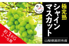 ＜25年発送先行予約＞☆絶品☆ シャインマスカット 3-6房約3.0kg 090-005 ｜シャインマスカット 発送 丸章青果 笛吹市 山梨県 フルーツ 果物 ぶどう 葡萄 シャインマスカット おすすめ シャインマスカット 贈答 ギフト 産地 笛吹市 シャインマスカット 笛吹 葡萄 国産 ぶどう 人気 国産 3.0kg デザート 甘い ランキング 3キロ 3kg｜
