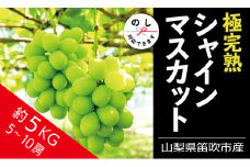 ＜25年発送先行予約＞☆絶品☆ シャインマスカット 5-10房約5.0kg 090-006 ｜シャインマスカット 発送 丸章青果 笛吹市 山梨県 フルーツ 果物 ぶどう 葡萄 シャインマスカット おすすめ シャインマスカット 贈答 ギフト 産地 笛吹市 シャインマスカット 笛吹 葡萄 国産 ぶどう 人気 国産 5.0kg デザート 甘い ランキング 5キロ 5kg｜