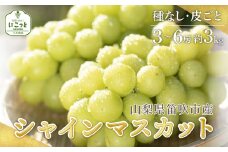 ＜25年発送先行予約＞シャインマスカット 3〜6房 約3.0kg ※沖縄県・離島は発送不可 097-014 | シャインマスカット 発送 3kg にこっと 笛吹市 山梨県 フルーツ 果物 ぶどう 葡萄 種無し 皮ごと おすすめ シャインマスカット 発送 贈答 ギフト 甘い 産地 期間限定 笛吹市 シャインマスカット 笛吹 葡萄 ぶどう 人気 国産 097-014