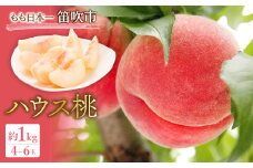 JAふえふきハウス桃4-6玉（約1.0kg） 010-001