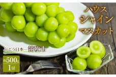 JAふえふき ハウスシャインマスカット 1房（約500g） 010-003