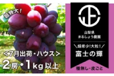 ＜2024年発送＞ハウス 富士の輝 2房1.0kgブラックシャイン 098-004 ｜ぶどう 葡萄 笛吹市 ブラック ブラックシャイン マスカット 希少 希少品種 富士の輝 700g まるしょう農園 新鮮 こだわり 皮ごと 種なし 種無し 高級 大粒 大粒品種 ジューシー シャインマスカット 産地 発送 期間限定 国産 山梨県産 山梨県笛吹市 高糖度 果肉 甘い 黒色 旬 果物 フルーツ｜