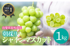 ＜25年発送先行予約＞山梨県笛吹市産シャインマスカット約1Kg　※クール便配送  113-003