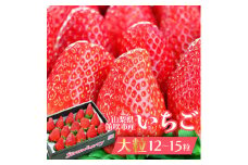 【山梨県笛吹市】大粒いちご12～15粒入り 164-004