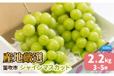 ＜25年発送先行予約＞産地厳選シャインマスカット2.2kg（3房～5房） 106-004 | シャインマスカット 山梨 発送 ぶどう 斎庵 笛吹市 山梨県 フルーツ 果物 葡萄 シャインマスカット 発送 おすすめ 贈答 2025 シャインマスカット 山梨 山梨県笛吹市 産地 期間限定 笛吹市 笛吹 国産 人気 新鮮 種なし 高級 くだもの  完熟 ブドウ 発送 |