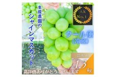 【期間限定】【数量限定】＜2025年発送＞フルーツ王国笛吹市の【大粒】シャインマスカット2房1.3㎏以上 137-001   山梨 笛吹市 山梨県産 シャインマスカット 高レビュー 数量限定 冷蔵配送 クール便