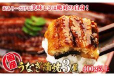 【訳あり】山梨県産富士山脈の地下水うなぎの蒲焼　3尾400g以上+100g肝焼きセット 138-004
