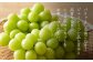 ぶどうの生産量日本一の笛吹市！