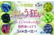 ＜25年発送先行予約＞ 山梨県産　ぶどう狂い　【シャインマスカットを含む旬のぶどう５種】旬を迎えた順から発送　【定期便　約1ｋｇ　全5回】 105-005