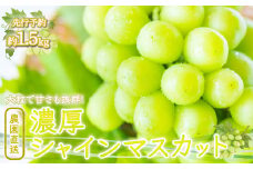 ＜25年発送先行予約＞農園直送！濃厚シャインマスカット 約1.5kg※クール便配送 109-002