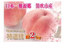 ＜25年発送＞糖度センサー選別【特選】桃7-8個　約2.0kg★ 016-011 ｜もも 桃 最高級 発送 山梨 笛吹市 糖度センサー 高糖度 JA ふえふき JAふえふき  特選桃 ピーチ 果物 フルーツ 新鮮 旬 発送 秀品 2kg 2キロ 国産 モモ 笛吹市 桃 高級 もも 山梨県笛吹市 果物 ピーチ 2025年発送 高級 モモ 先行 贈答用 贈答 ギフト｜