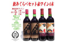 ﻿赤ワイン飲み比べ4本セット | ふるさと納税 ワイン 笛吹市 山梨ワイン 酒 アルコール 山梨県  記念品 お祝い 送料無料 | 014-006