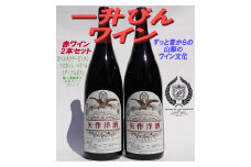 一升瓶ワイン赤２本セット | ふるさと納税 ワイン 笛吹市 山梨ワイン 酒 アルコール 山梨県  記念品 お祝い 送料無料 |  014-007
