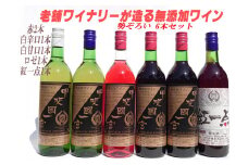 無添加ワイン6本セット 甲斐國一宮と紅一点  | ふるさと納税 ワイン 笛吹市 山梨ワイン 一升瓶 酒 ビン 瓶ワイン アルコール 山梨県  記念品 お祝い 送料無料 |  014-008
