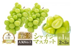 ＜25年発送先行予約＞厳選!!池田青果のシャインマスカット1.0kg 2~3房 173-006 | シャインマスカット 1kg 発送 池田青果 笛吹市 山梨県 フルーツ 果物 ぶどう 葡萄 大粒 おすすめ シャインマスカット 贈答 シャインマスカット ギフト 産地 期間限定 笛吹市 1kg 高級 笛吹 葡萄 国産 ぶどう 人気 1キロ 国産シャインマスカット マスカット 先行 予約 青果 |