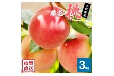 <25年発送先行予約>厳選!!池田青果の桃　3kg　8～13玉 173-005