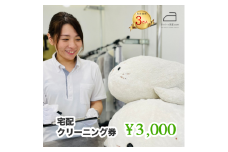 ネットで洗濯クリーニング券3,000円分 