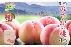 ＜25年発送先行予約＞桃 秀品 4.5kg  糖度10％以上※クール便配送 177-006　| もも 桃 大糖領 発送 山梨 笛吹市 糖度センサー 高糖度 化粧箱 希少 希少品種 桃 ピーチ 果物 フルーツ 新鮮 旬 発送 秀品 国産 モモ 笛吹市 桃 高級 もも 山梨県笛吹市 果物 ピーチ 2025年発送 高級品種 モモ 先行 贈答用 贈答 ギフト｜