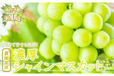 ＜25年発送先行予約＞農園直送！濃厚シャインマスカット 約1.0kg※クール便配送 109-006