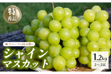 ＜25年発送先行予約＞シャインマスカット 約1.2kg 2～3房 154-007 | フルーツ 果物 高評価 人気 ランキング おすすめ 甘い 美味しい デザート 数量限定 送料無料 山梨県産 笛吹市　種なしぶどう 「販売」 KEIPE株式会社
