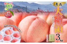 ＜25年発送先行予約＞桃 秀品 3.0kg 大糖領 糖度12％以上※クール便配送 177-002　| もも 桃 大糖領 発送 山梨 笛吹市 糖度センサー 高糖度 化粧箱 希少 希少品種 桃 ピーチ 果物 フルーツ 新鮮 旬 発送 秀品  国産 モモ 笛吹市 桃 高級 もも 山梨県笛吹市 果物 ピーチ 2025年発送 高級品種 モモ 先行 贈答用 贈答 ギフト｜