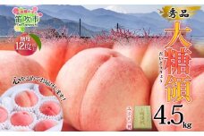 ＜25年発送先行予約＞桃 秀品 4.5kg 大糖領 糖度12％以上※クール便配送 177-003　| もも 桃 大糖領 発送 山梨 笛吹市 糖度センサー 高糖度 化粧箱 希少 希少品種 桃 ピーチ 果物 フルーツ 新鮮 旬 発送 秀品 国産 モモ 笛吹市 桃 高級 もも 山梨県笛吹市 果物 ピーチ 2025年発送 高級品種 モモ 先行 贈答用 贈答 ギフト｜