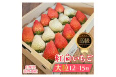 【山梨県笛吹市】贈答用 紅白いちご大粒12～15粒入り一箱 164-001