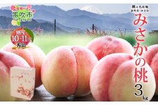 ＜25年発送先行予約＞桃 秀品 3kg 糖度10％以上 ※クール便配送 177-005　| もも 桃 大糖領 発送 山梨 笛吹市 糖度センサー 高糖度 化粧箱 希少 希少品種 桃 ピーチ 果物 フルーツ 新鮮 旬 発送 秀品 国産 モモ 笛吹市 桃 高級 もも 山梨県笛吹市 果物 ピーチ 2025年発送 高級品種 モモ 先行 贈答用 贈答 ギフト｜
