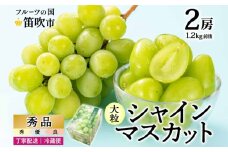＜25年発送先行予約＞シャインマスカット 2房 1.2kg前後※クール便配送 177-009