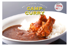 【キャンプカレー】大容量300gのレトルトカレー10食セット！