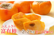 ＜25年発送先行予約＞山梨県笛吹市石和町産　富有柿 2.2kg 8～12個入り 126-012