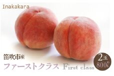 ＜2024年発送＞【笛吹市産】Inakakara　一宮町の桃　ファーストクラス　2玉(約800g) 192-008