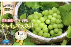 ＜25年発送先行予約＞山梨県産 シャインマスカット1kg以上 2房 180-002