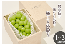 ＜25年発送＞笛吹市産　大粒シャインマスカット 1房入り 約700g 193-006