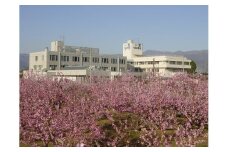 一宮温泉 人間ドック ラグジュアリーコース （1泊3食付）199-004