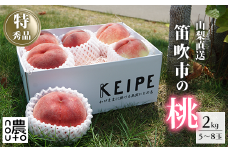 ＜25年発送先行予約＞日本一の生産量 山梨県産 桃 2kg以上 5~8玉 | 山梨 桃 本場 秀品 もも 高評価 人気 ランキング おすすめ コスパ 甘い 高糖度 美味しい デザート 数量限定 送料無料　産地直送 山梨県産 「販売」KEIPE株式会社 154-030
