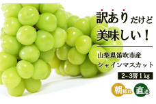 ＜25年発送先行予約＞【訳あり】 シャインマスカット 2～3房 約1kg 154-027 | 不揃い ご自宅用 ご家庭用 フルーツ 果物 高評価 人気 ランキング おすすめ 甘い 美味しい デザート 数量限定 送料無料 山梨県産 笛吹市 ぶどう 「販売」 KEIPE株式会社