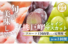 3回定期便 数量限定 山梨 桃 もも 巨峰 シャインマスカット シャイン 山梨県 笛吹市 高評価 産地直送 ランキング ご家庭用 ギフト プレゼント 盛り合わせ フルーツ 154-028