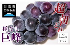 ＜25年発送先行予約＞ 巨峰 2～3房 約1.2kg 154-026 | フルーツ 果物 高評価 人気 ランキング おすすめ 甘い 美味しい デザート 数量限定 送料無料 山梨県産 笛吹市 ぶどう 「販売」 KEIPE株式会社